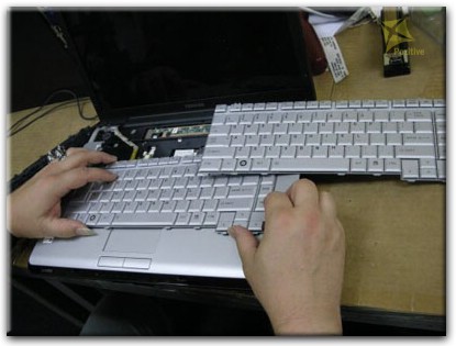Ремонт клавиатуры на ноутбуке Toshiba в Великом Новгороде